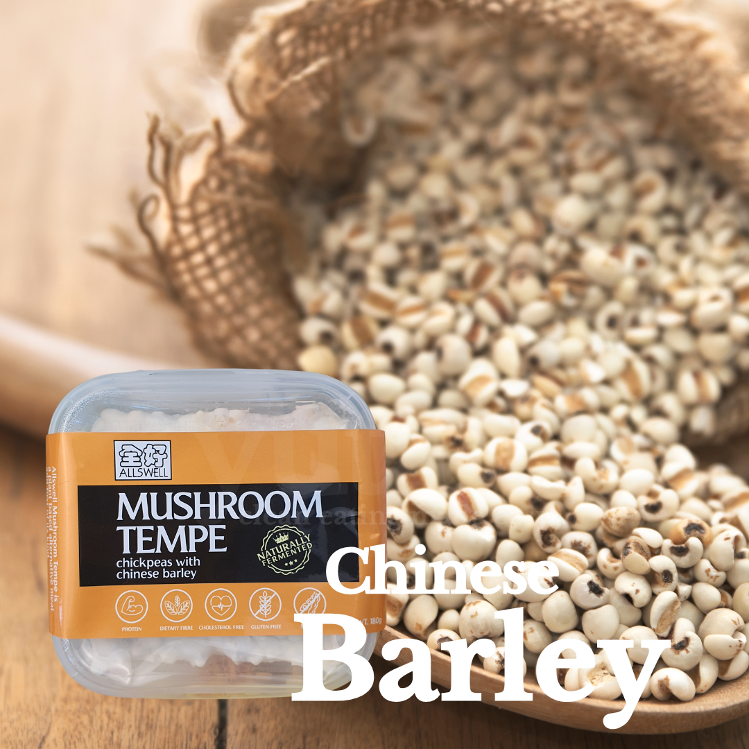 Mushroom Tempe, 180gm - Chinese barley